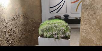 Tra Arte E Natura Lente, Paesaggi Domestici Alla Galleria Sinopia
